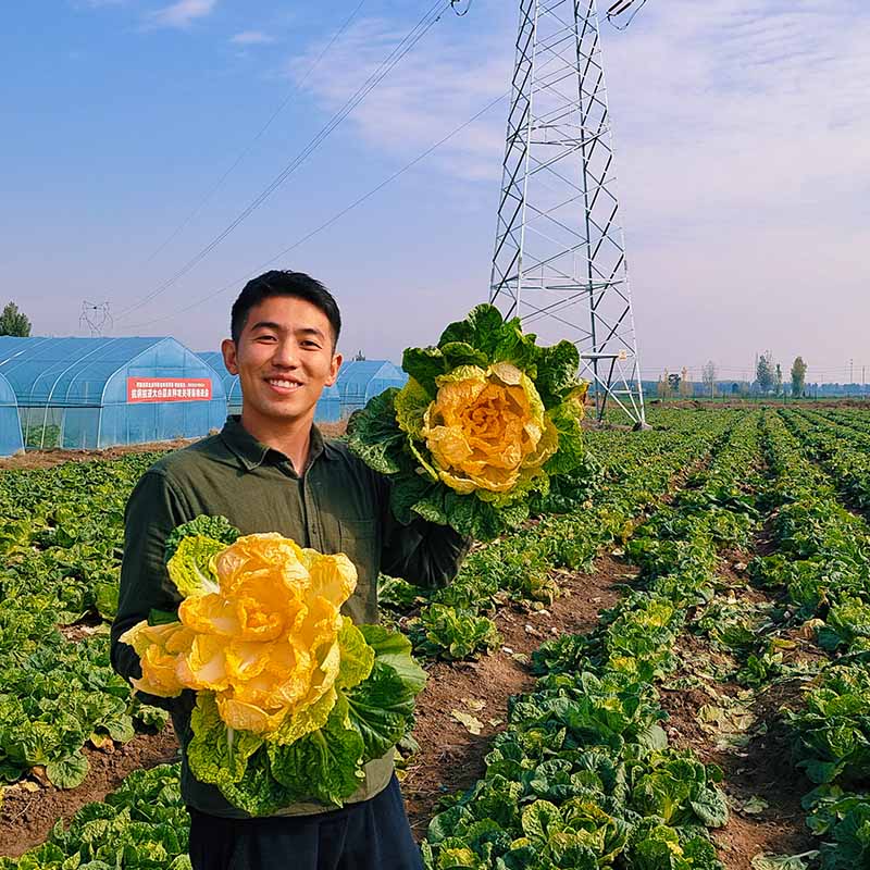 龍芽皇